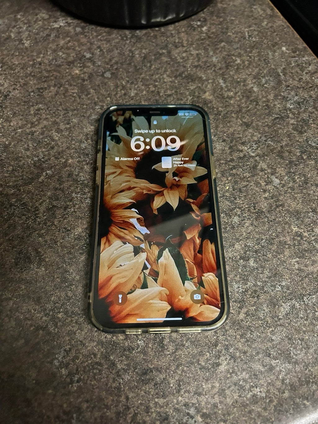 iPhone 12 Pro Max Tmobile 2Z77