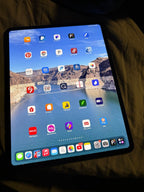 Apple iPad Pro 13 m4 256 space gray  cellular can’t but used on cellular 8T25