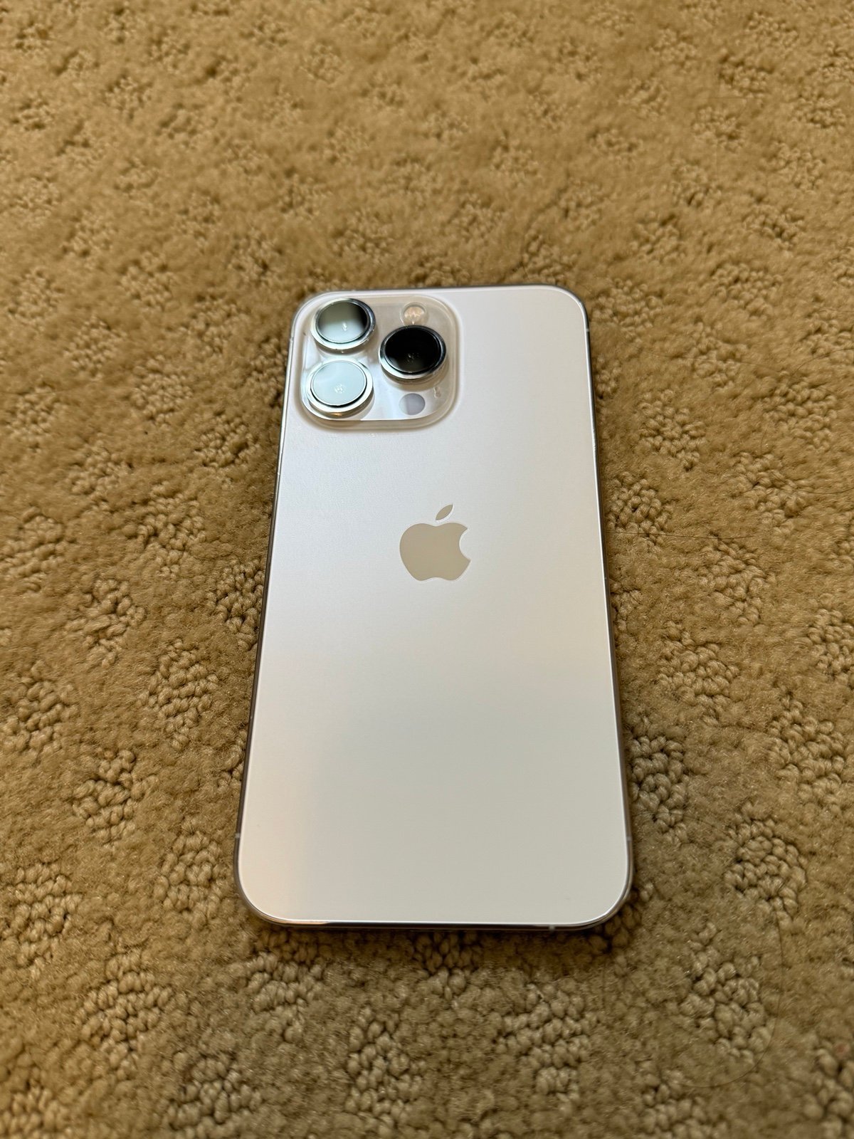 iPhone 13 Pro 256 GB Unlocked Silver 1Z85