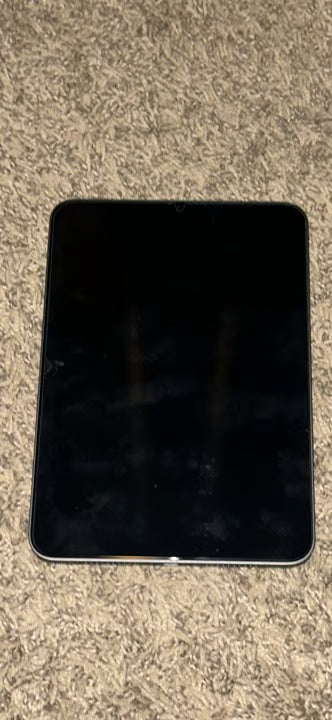 ipad mini 6th generation 2W11