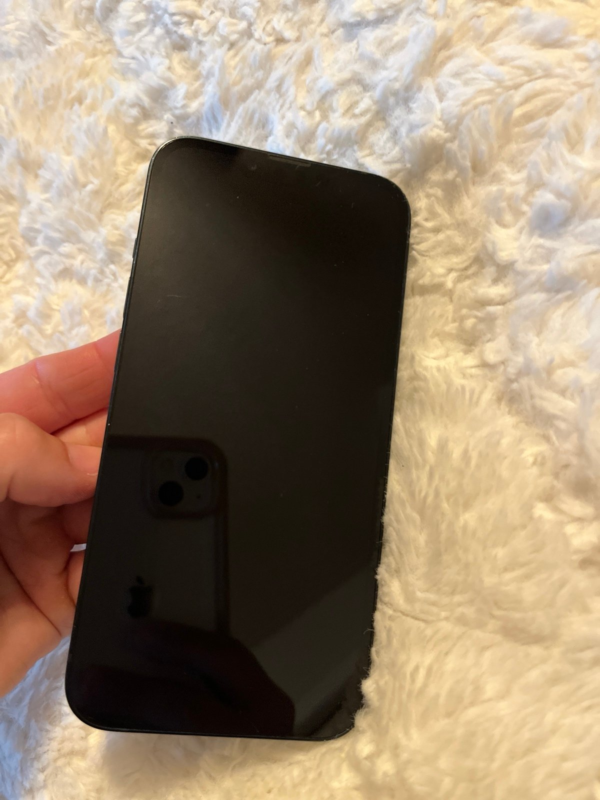 Apple iPhone 13 256 GB 1V38