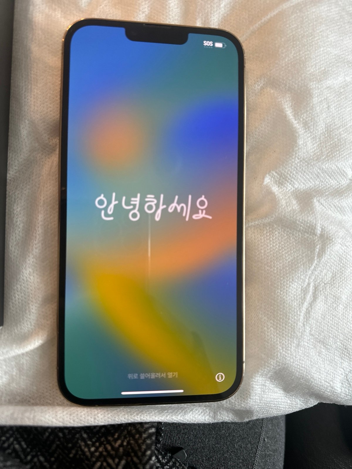 iPhone 13 Pro Max phone 1TB - unlocked w original box + unused charging cord 2R39