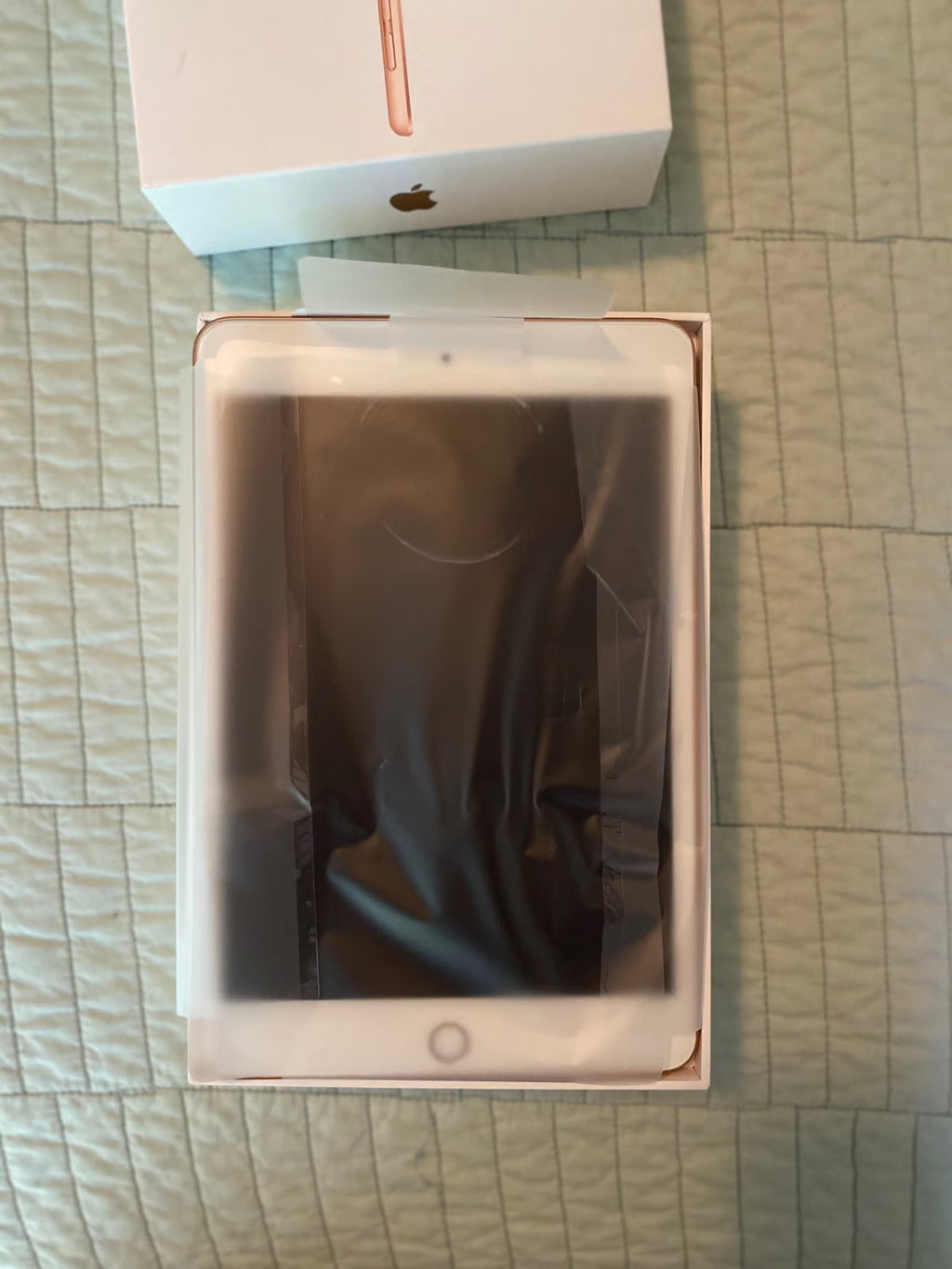 iPad mini 1G13