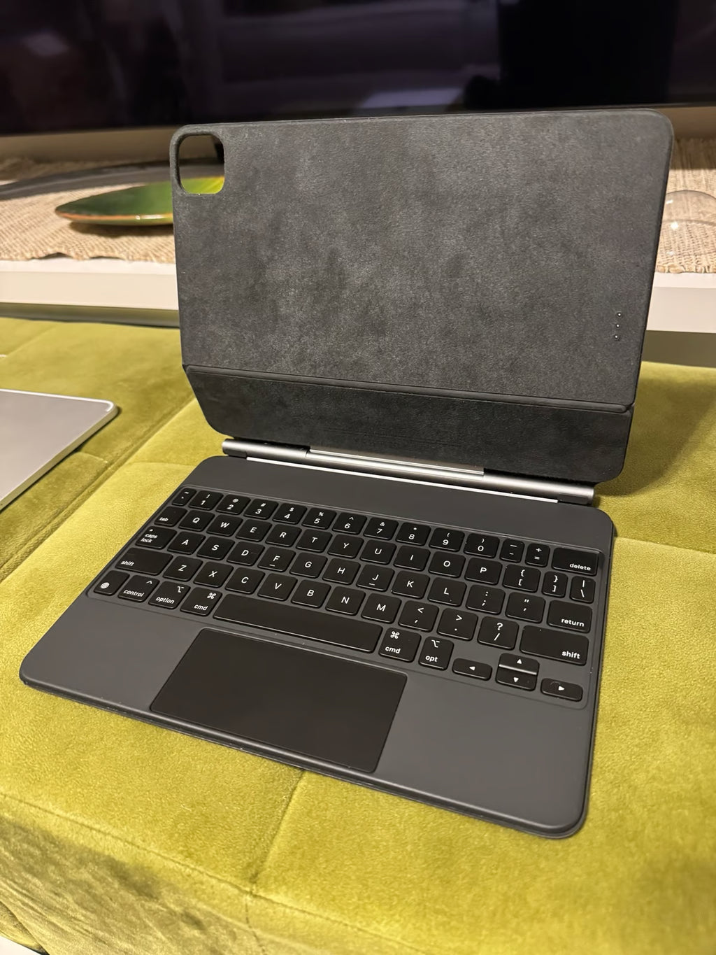 iPad Pro 11 inch 2nd Generation 256 GB 3C78