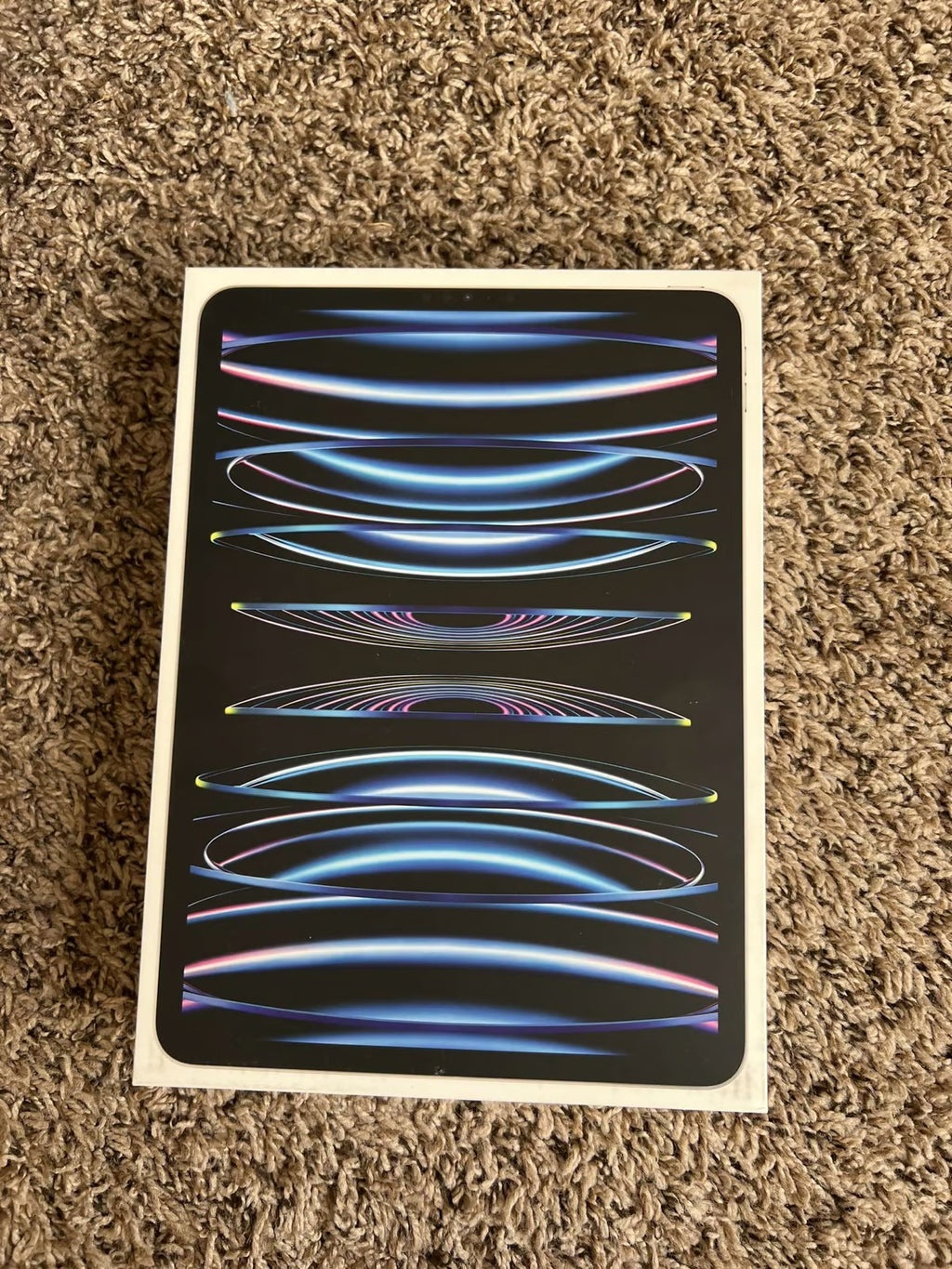 iPad Pro 11 Inch 4th Generation 256GB WiFi 3B66