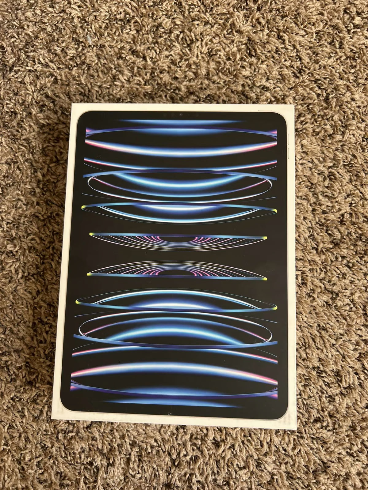 iPad Pro 11 Inch 4th Generation 256GB WiFi 3B66