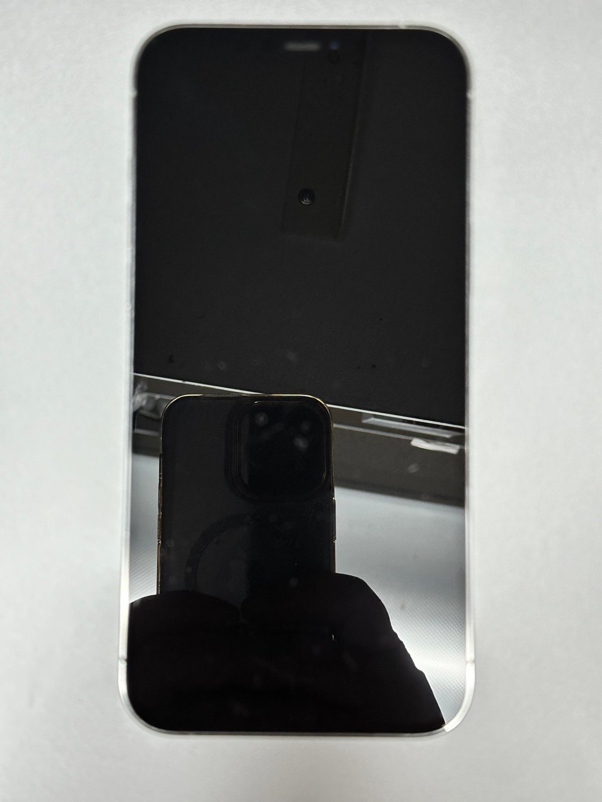 Apple iPhone 12 Pro Max 128 GB in Silver 7E33