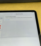 Apple iPad Pro 12.9 inch 4th gen 256GB WiFi + Cellular in silver 5D37