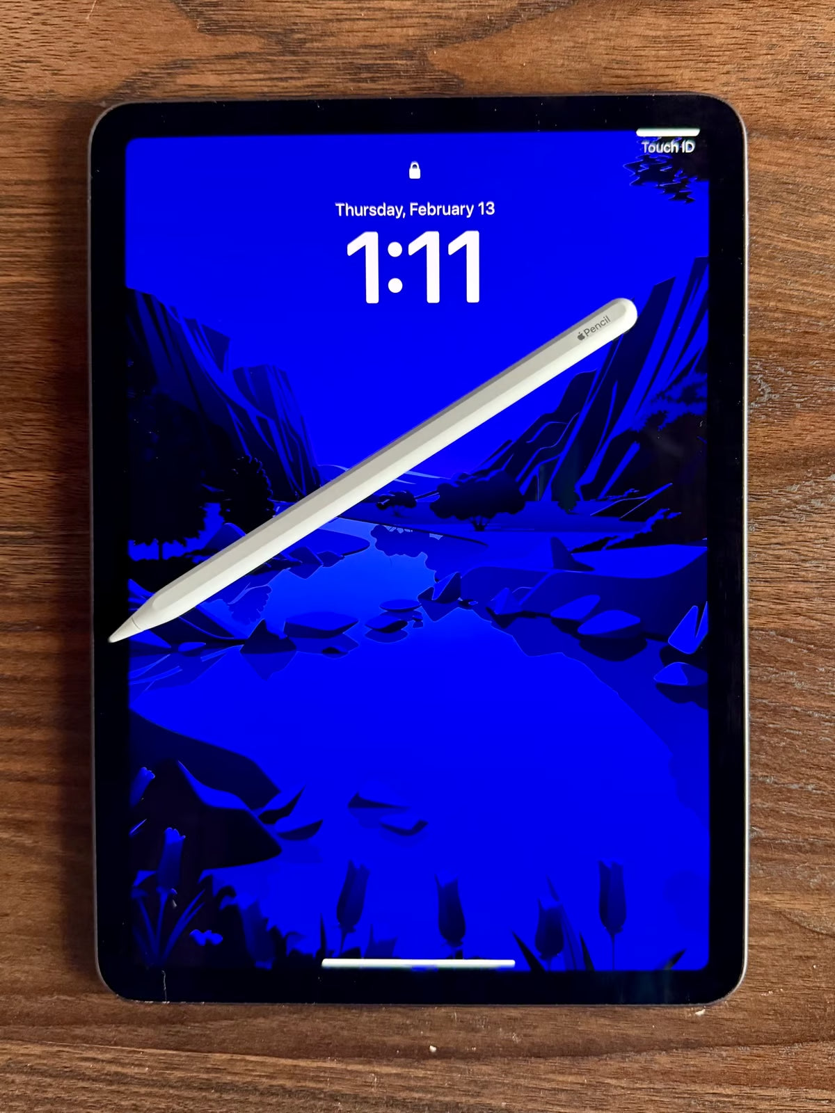 iPad Air 4th Generation (64GB) + Apple Pencil (2nd Gen) + Accessories �?Like New 8H35