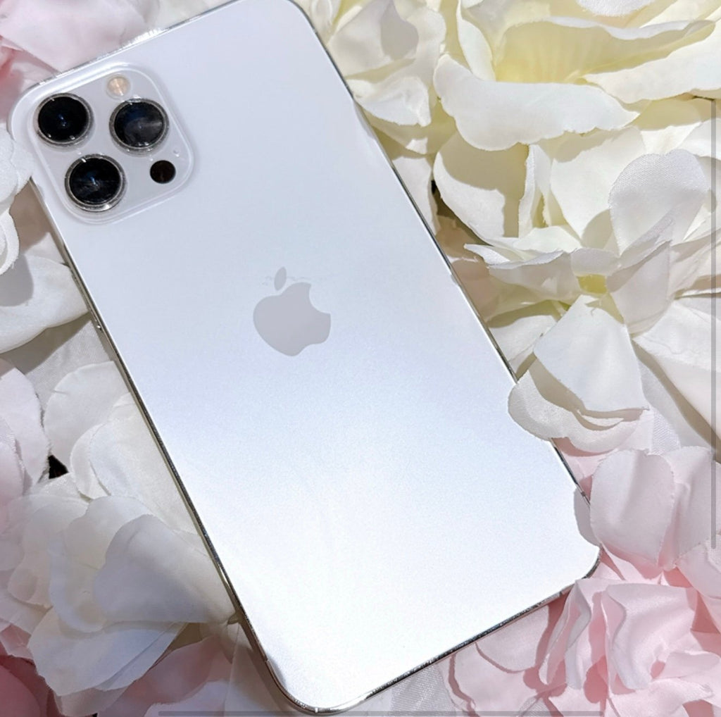 Apple iPhone 12 Pro Max 256 GB in Silver White Unlocked 2P11