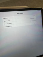 iPad Pro 12.9 in (6th Generation) 256GB - WiFi Only 8T97