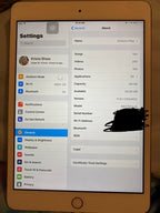 iPad mini 3rd generation Gold 64 GB 3V27