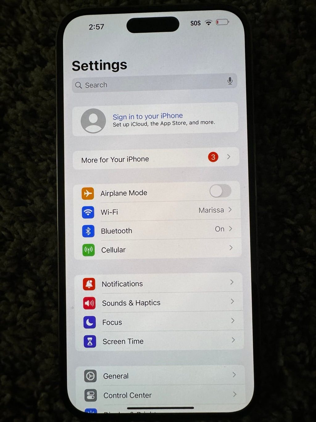 iPhone 14 Pro Max 1Z55