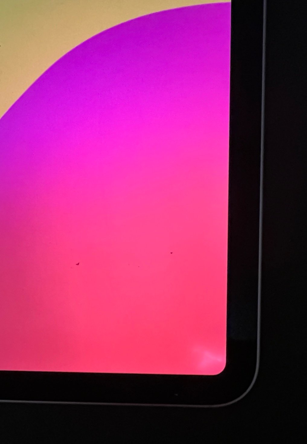 iPad Pro 12.9 Inch 3U52