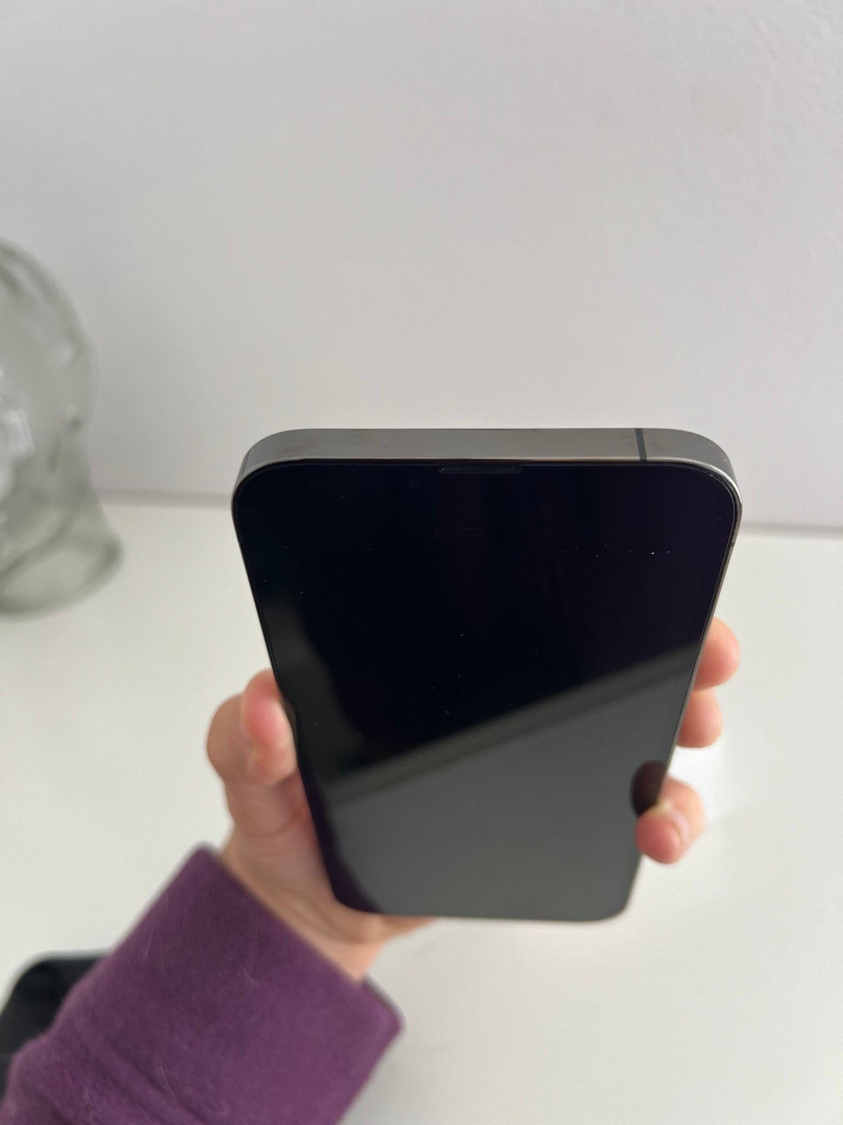 iphone 13 pro max 6S51