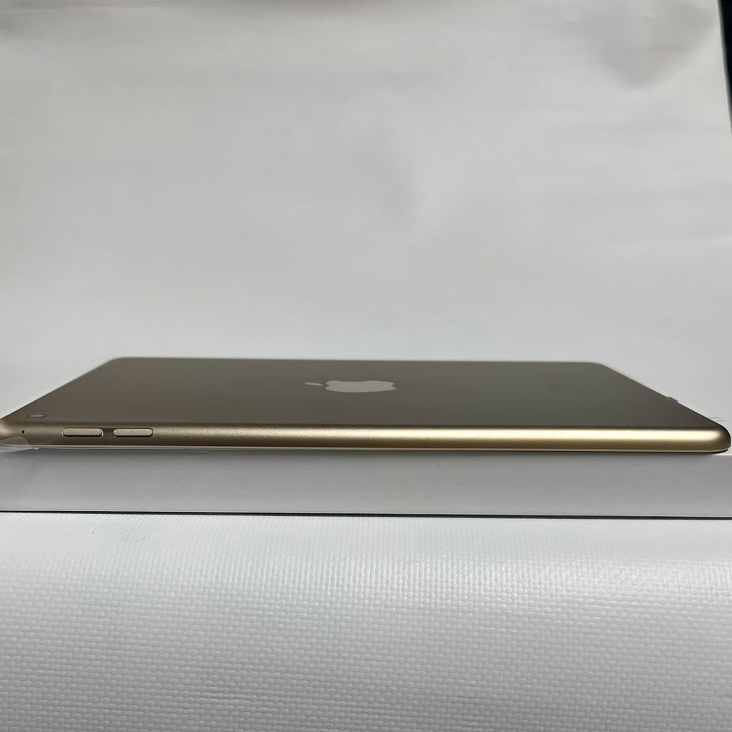 Apple iPad Mini 5th 64GB Wifi & Cellular 1X31