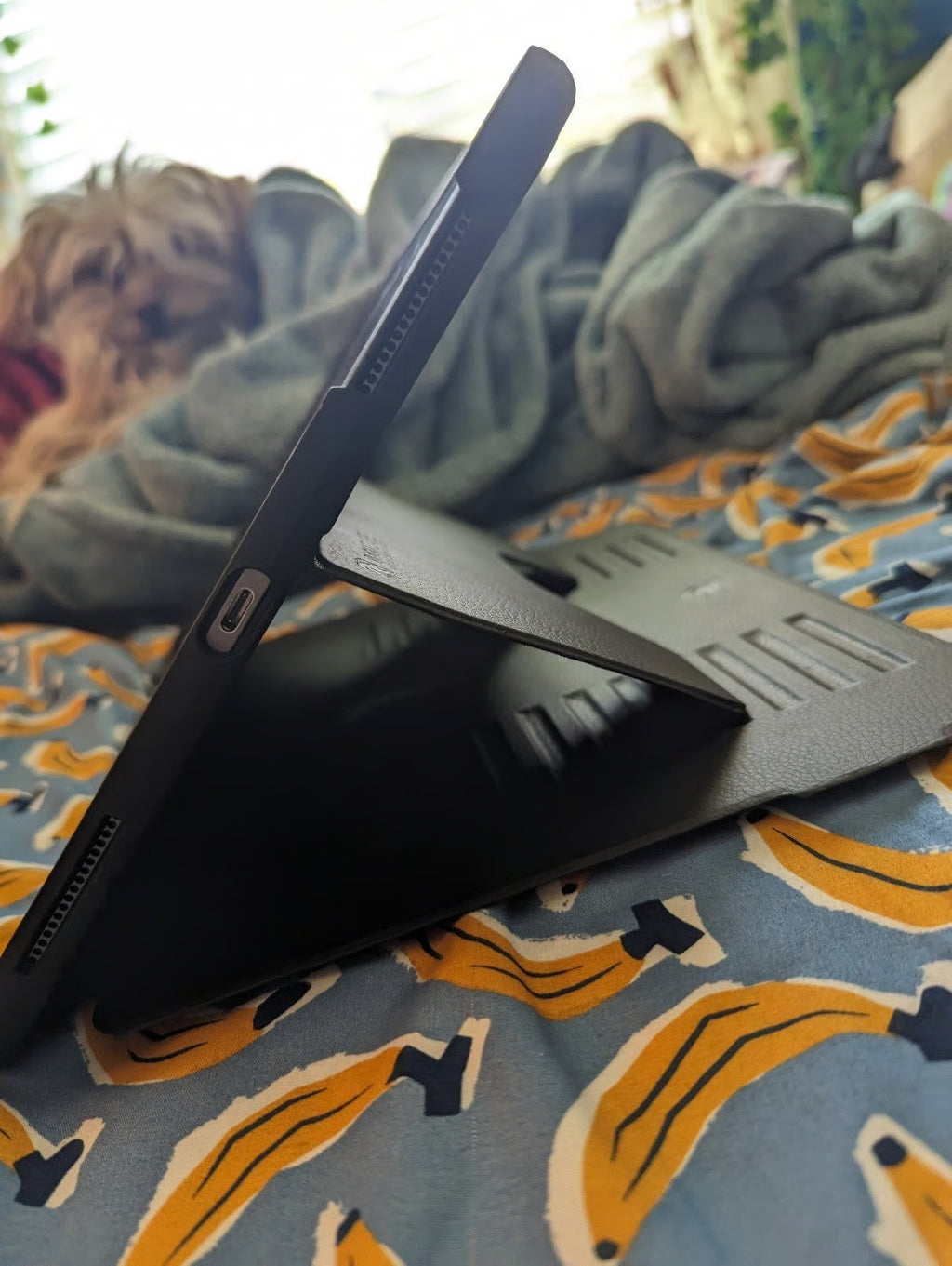 Apple iPad Pro 3rd Generation 256 GB 5B85