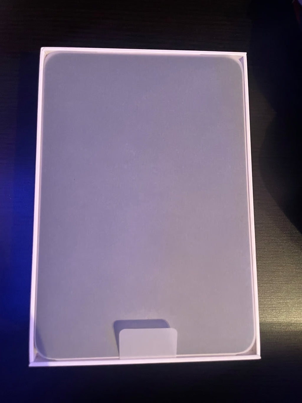 Apple iPad Mini 6th Generation 256 GB 3O87