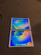 10 Apple iPads pro 12.9 inch 128GB 3L69