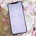 Apple iPhone 12 Pro Max 256 GB in Silver White Unlocked 2P11