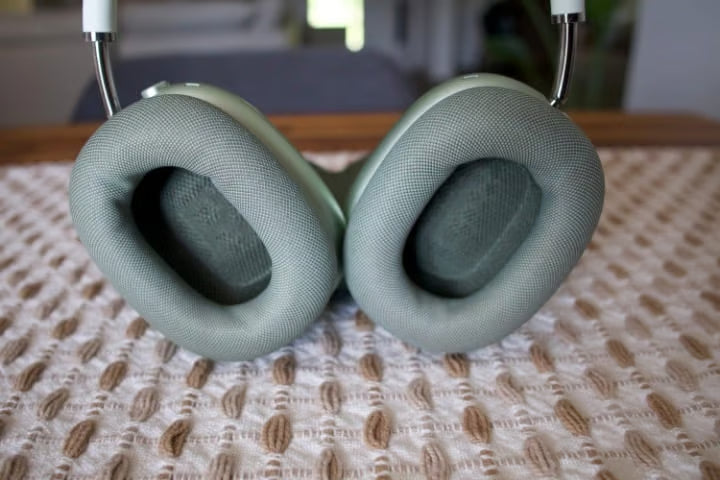 Apple AirPods Max with Smart Case in Green 8P66