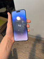 iPhone 14 Pro Max 6R19