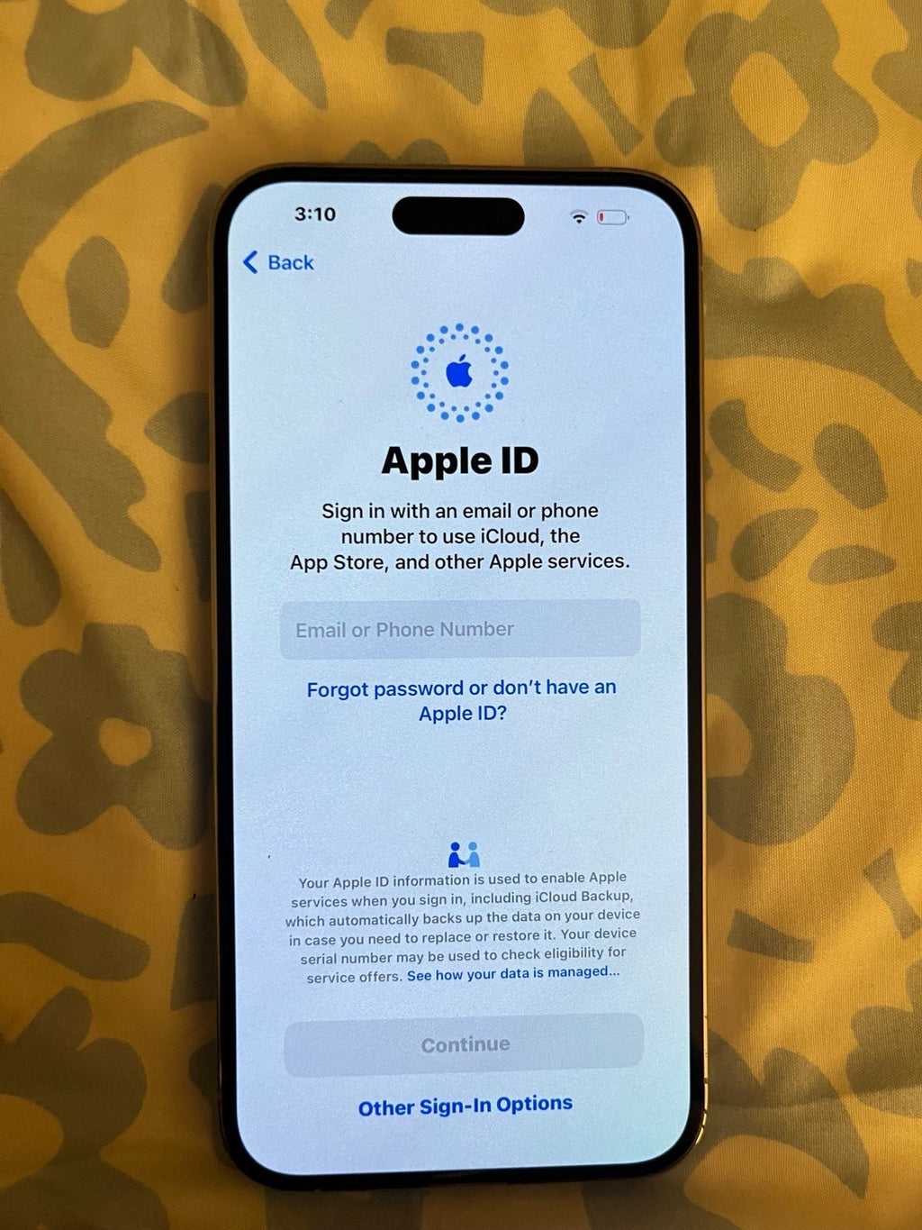 iPhone 14 Pro Max 1F33