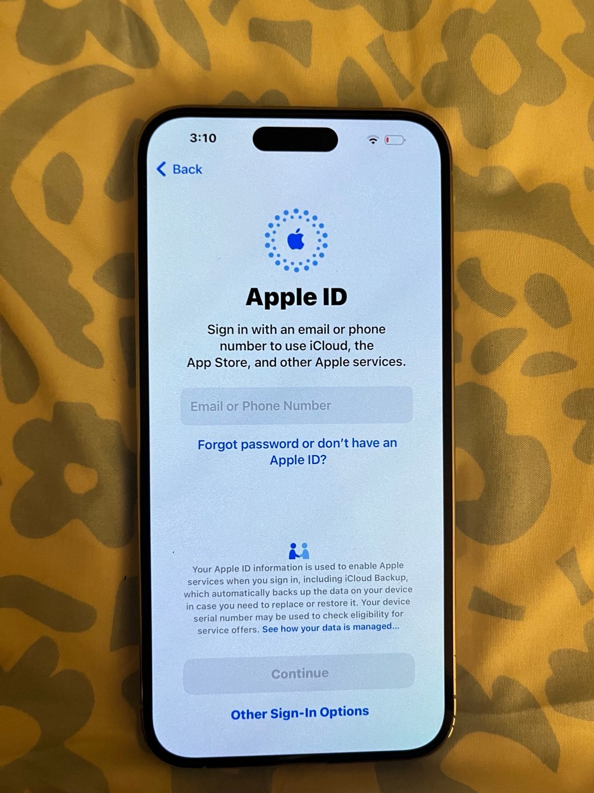 iPhone 14 Pro Max 1F33
