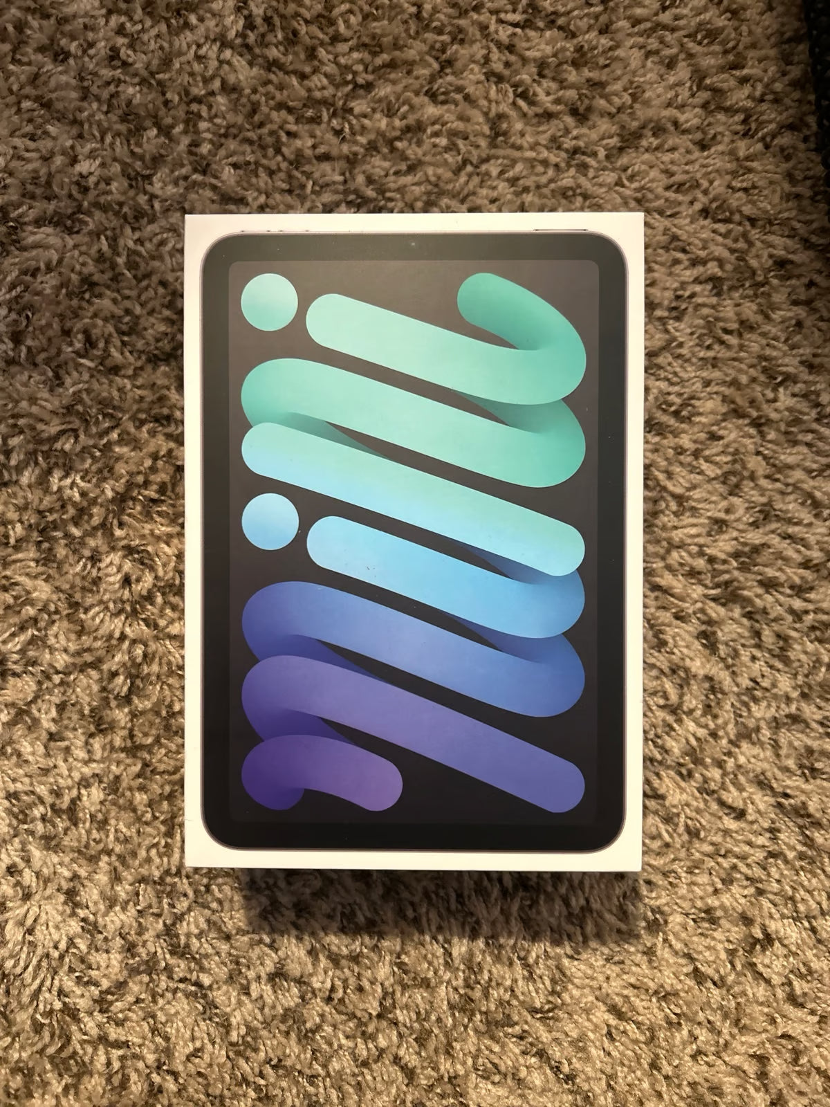 ipad mini 6th generation 1S28