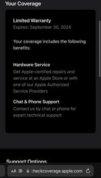 Apple AirPods Max with Smart Case 1P17