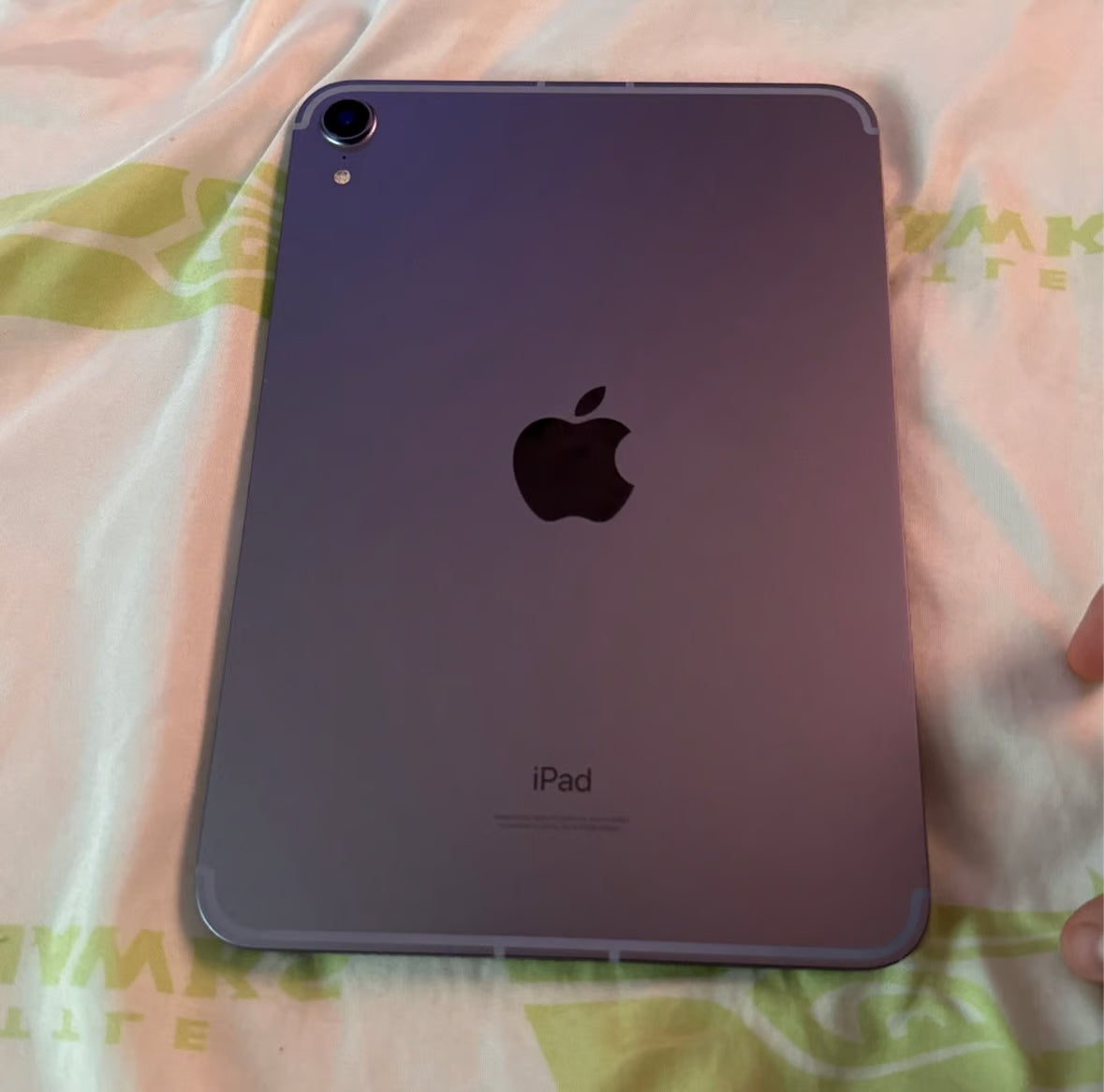 ipad mini 6 cellular 3P31