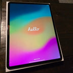 Apple iPad Pro 12.9 inch 5th Generation 256 GB in Space Gray - Flawless 1W31