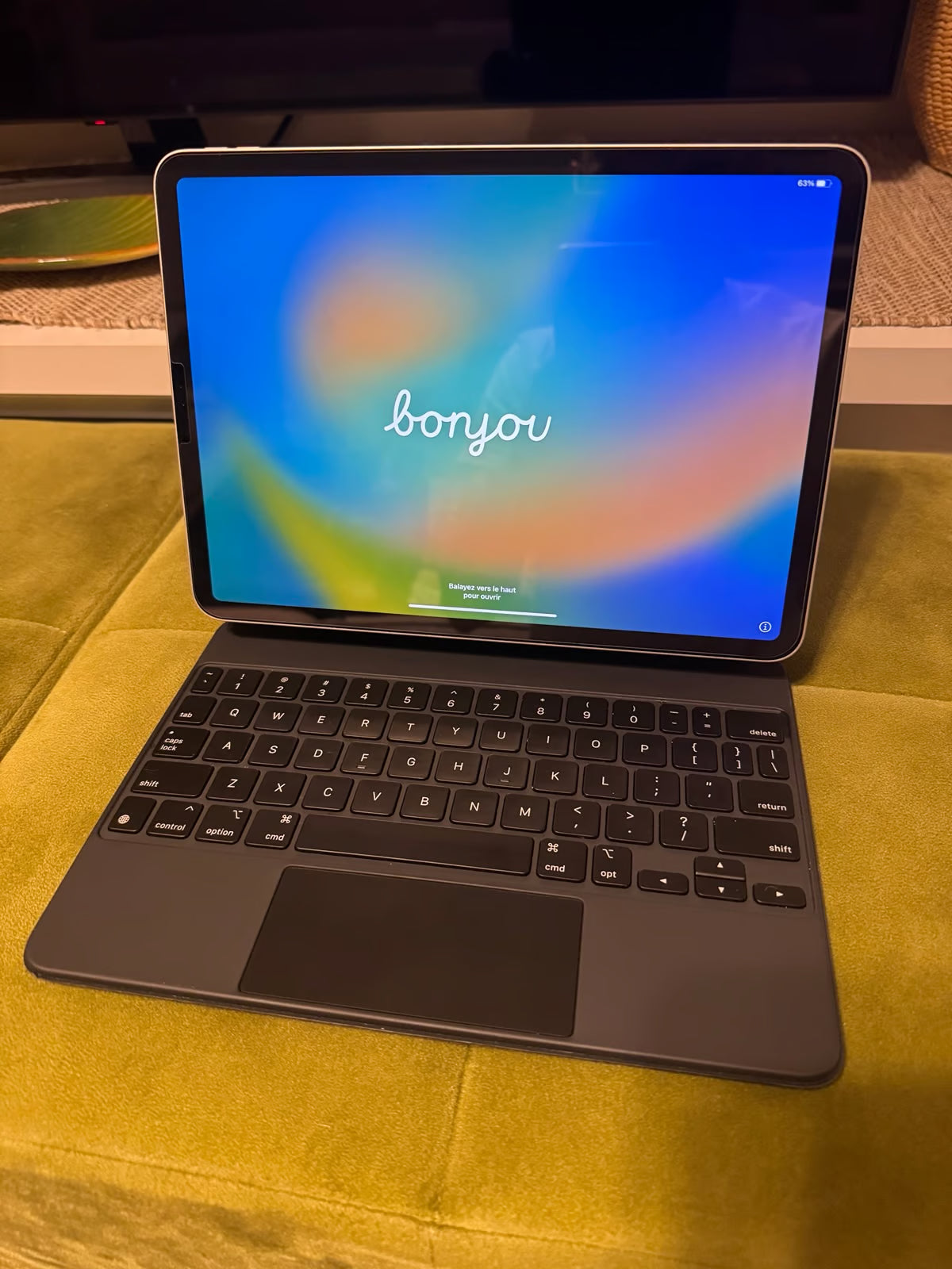 iPad Pro 11 inch 2nd Generation 256 GB 3C78