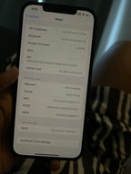 Unlocked Pacific Blue iPhone 12 Pro Max Factory Reset completed 1H17