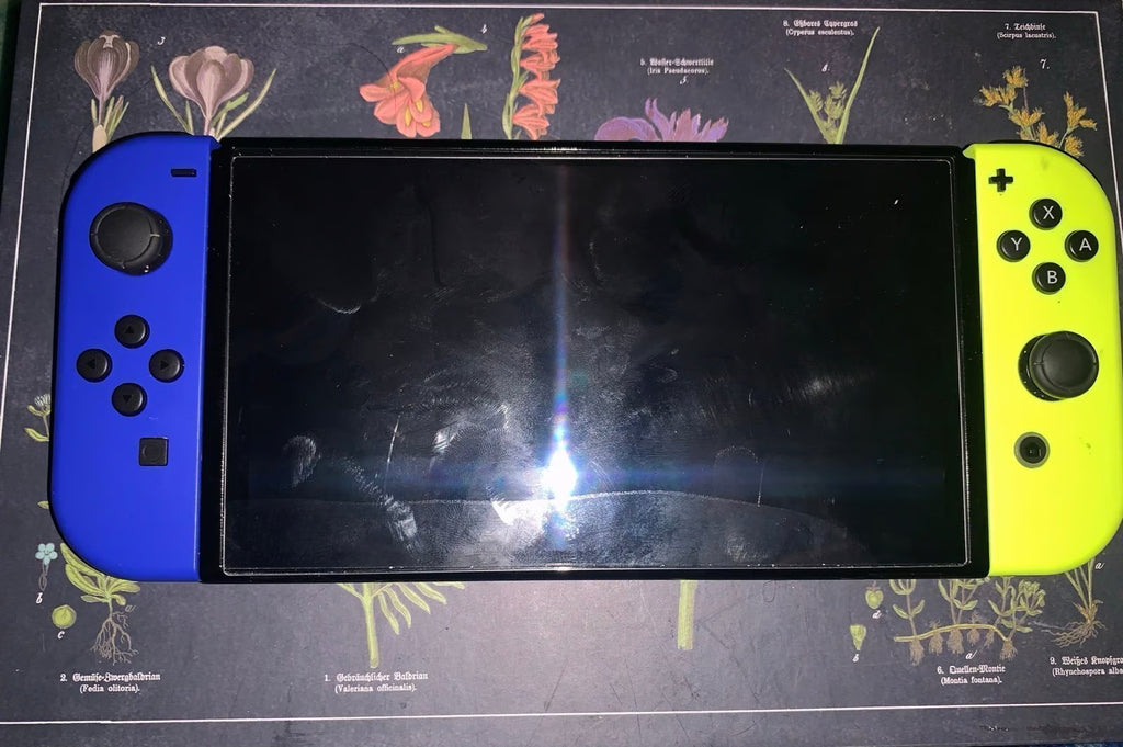 Nintendo switch oled 3D67