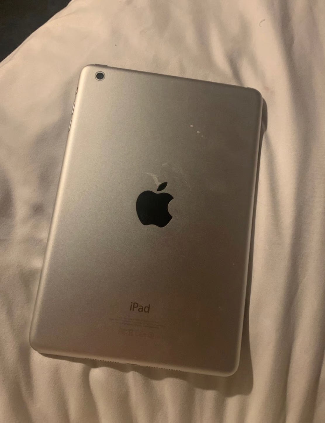 iPad mini 3rd generation 5T89