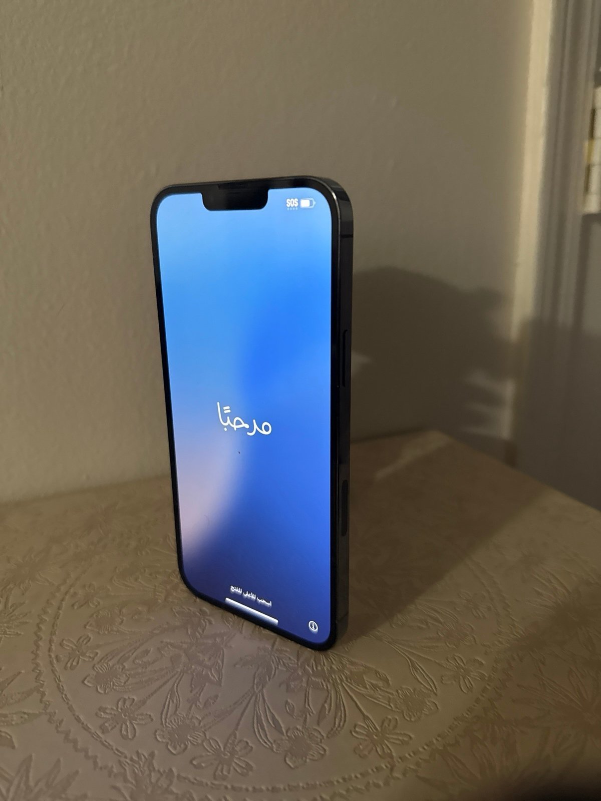 iPhone 13 Pro Max 128GB Unlocked 9A67