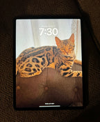 iPad Pro 12.9�?WiFi and Cellular 9M29