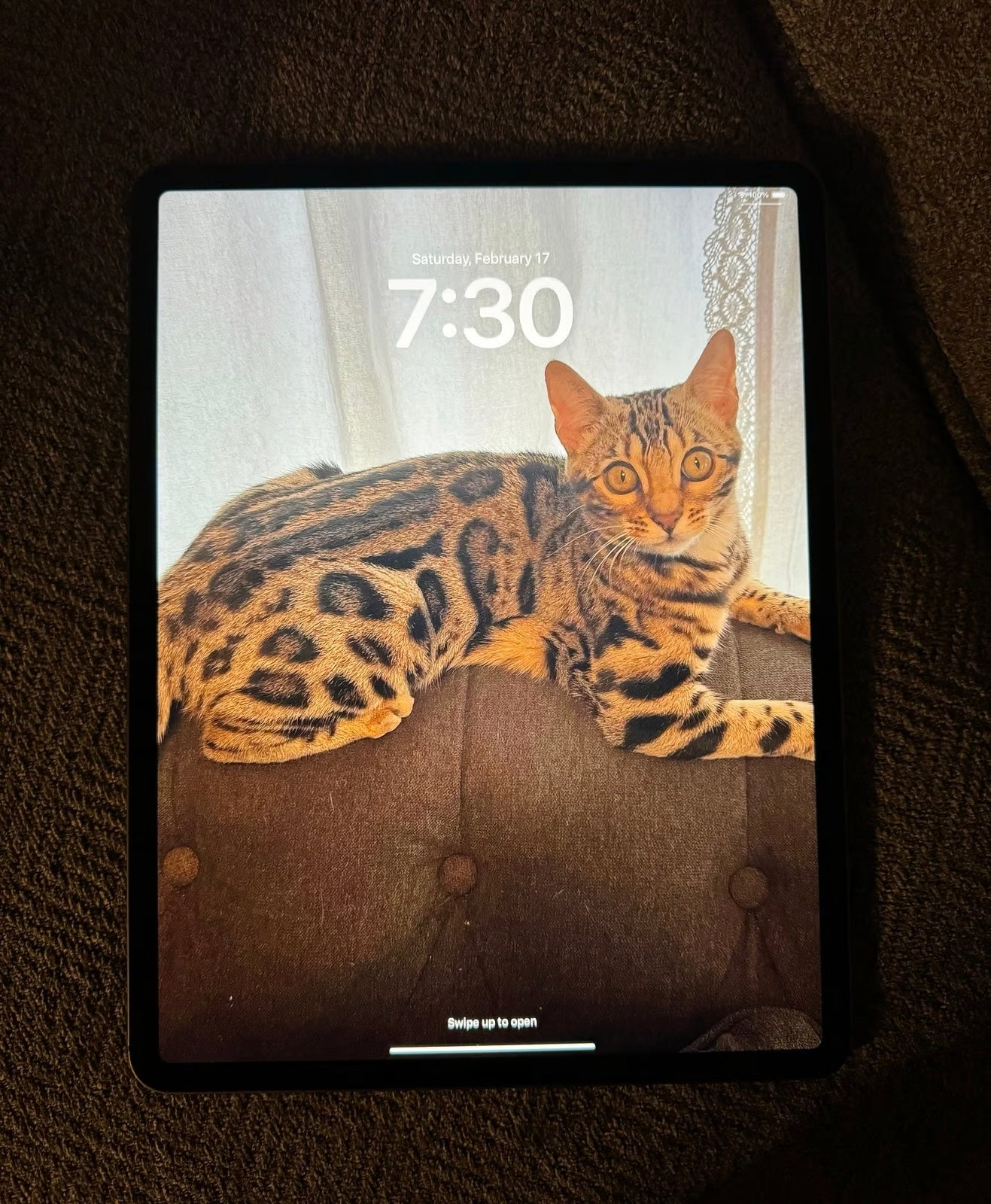 iPad Pro 12.9�?WiFi and Cellular 9M29