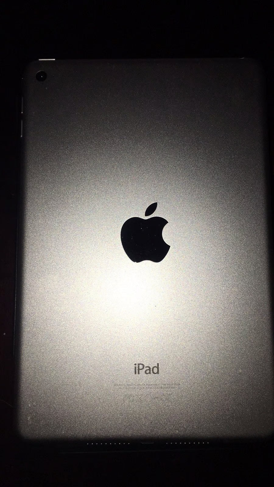 iPad mini 4th generation Silver 128 GB 5V75