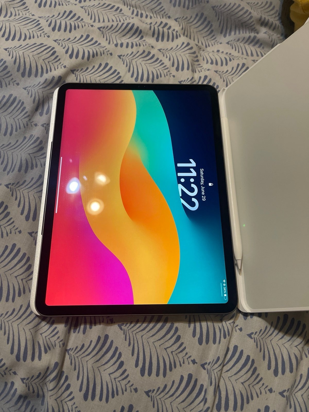 ipad pro 11 inch 1st gen 256gb w/brydge keyboard and pen 6C11