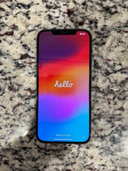 iPhone 12 Pro Max 3H73