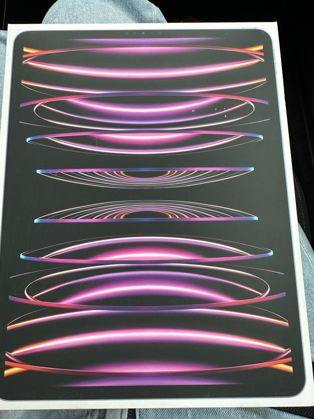 12.9 In. Brand New Sealed iPad Pro 6th Generation 1C71