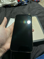 iPhone 13 Pro Max 5P81