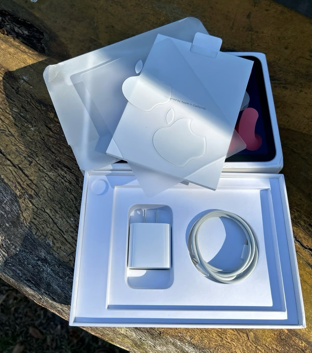 The Cutest IPad Mini 2A12