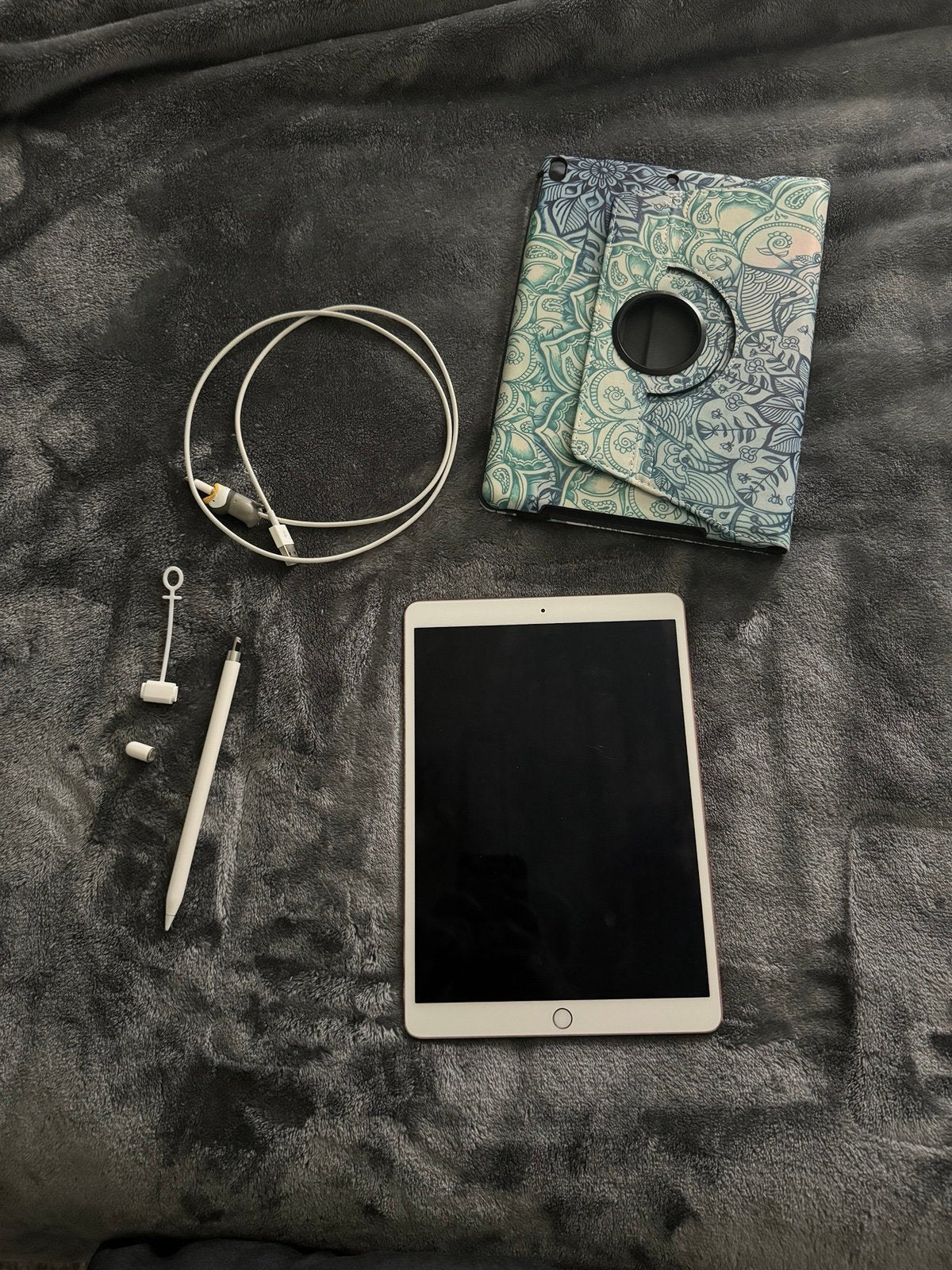 iPad Pro with Apple Pencil 8G75