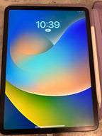 iPad Pro 11 inch 2nd generation 9S66