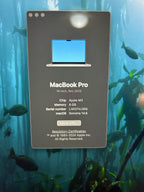 MacBook Pro 14 M3 2P62