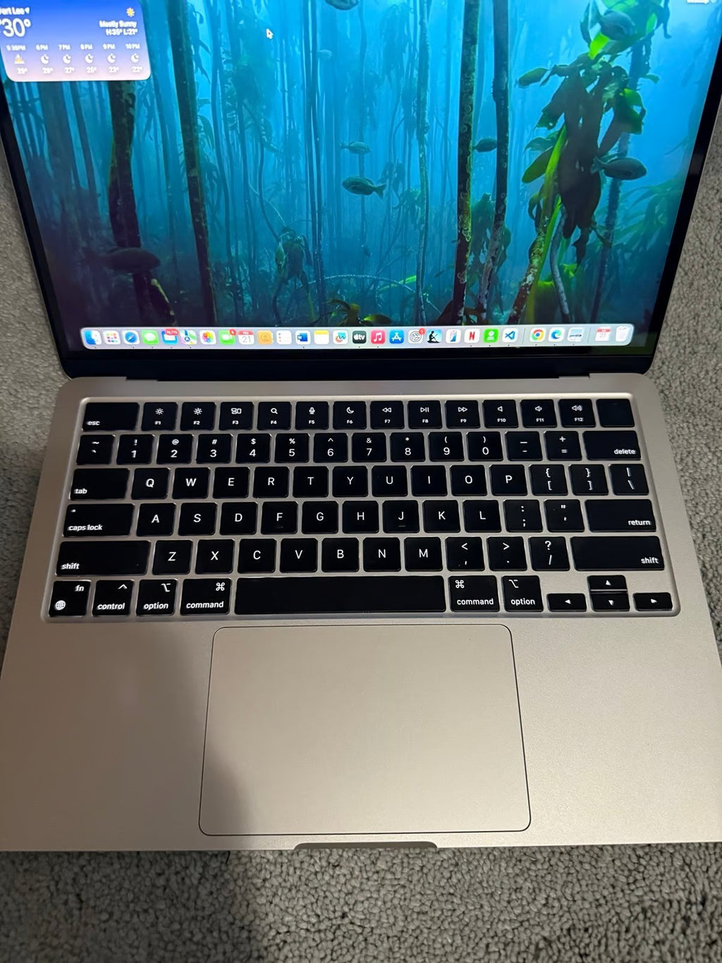 2024 Apple MacBook Air 13-inch M3 Chip 16GB RAM 256GB SSD Starlight 3S75