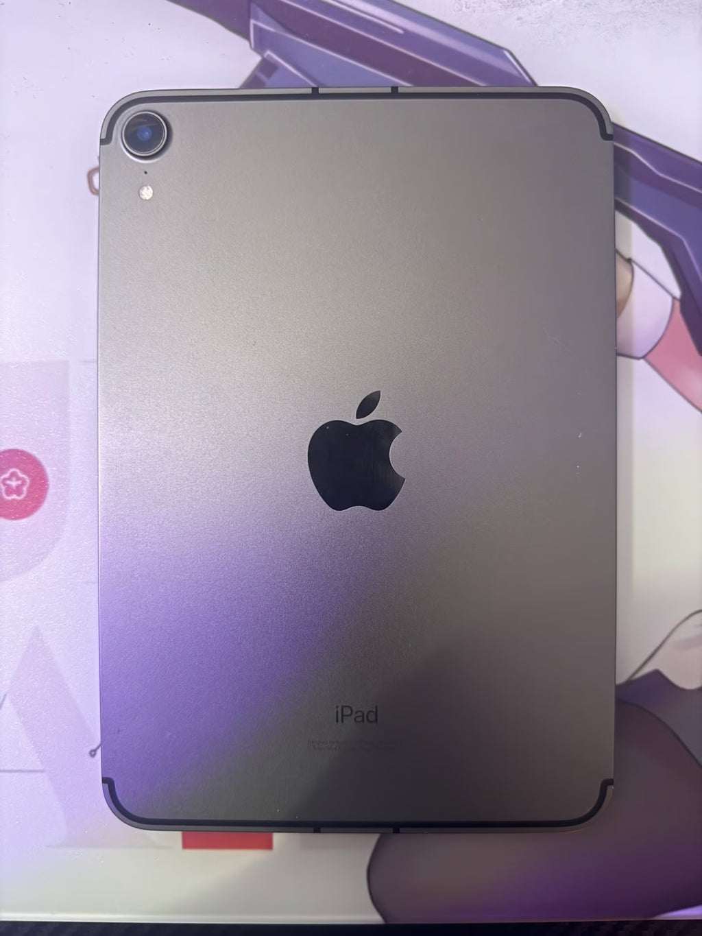 iPad Mini 6th Generation | 64GB Unlocked 9Y73